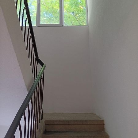 Auberge de jeunesse Apartman Sonja à Dubrovnik Extérieur photo